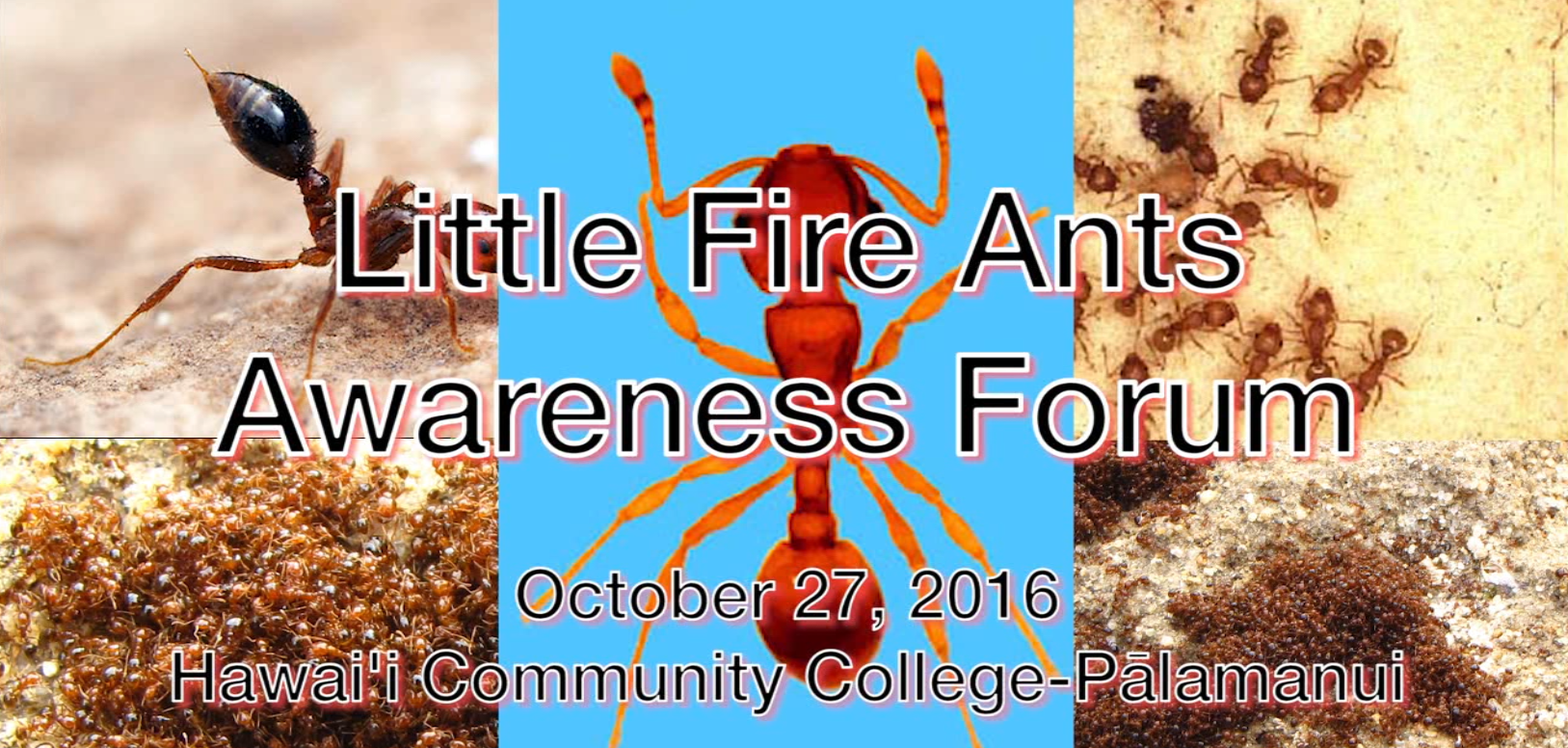 Fire Ants March 2017